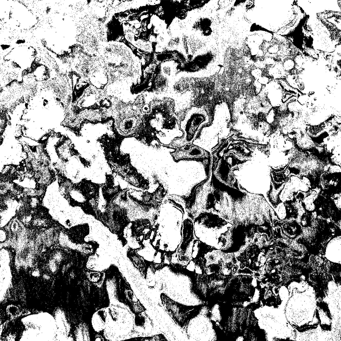 A-Sun Amissa - We Are Not Our Dread