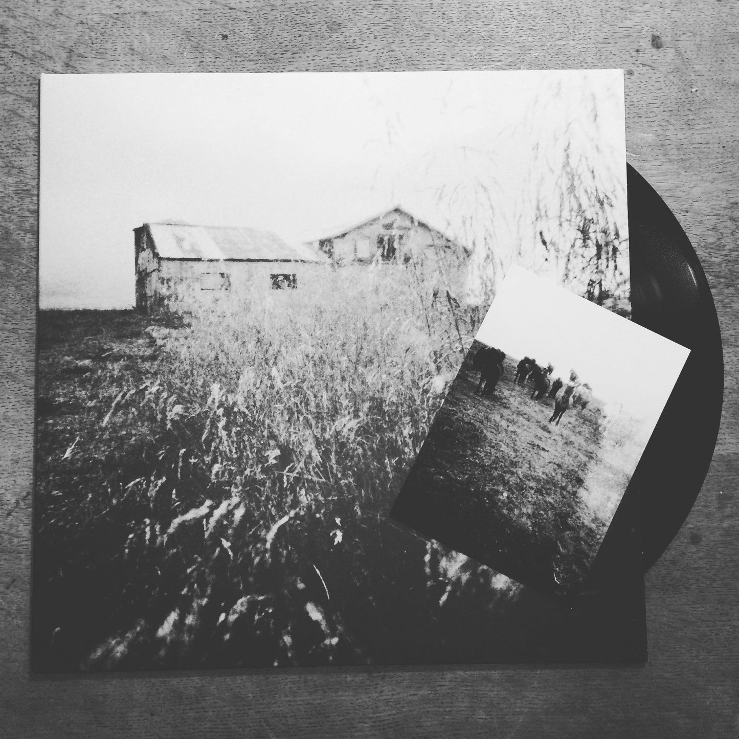 A-Sun Amissa | Gizeh Records Online Store