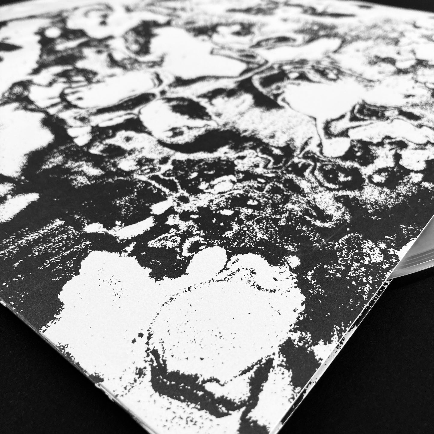 A-Sun Amissa - We Are Not Our Dread
