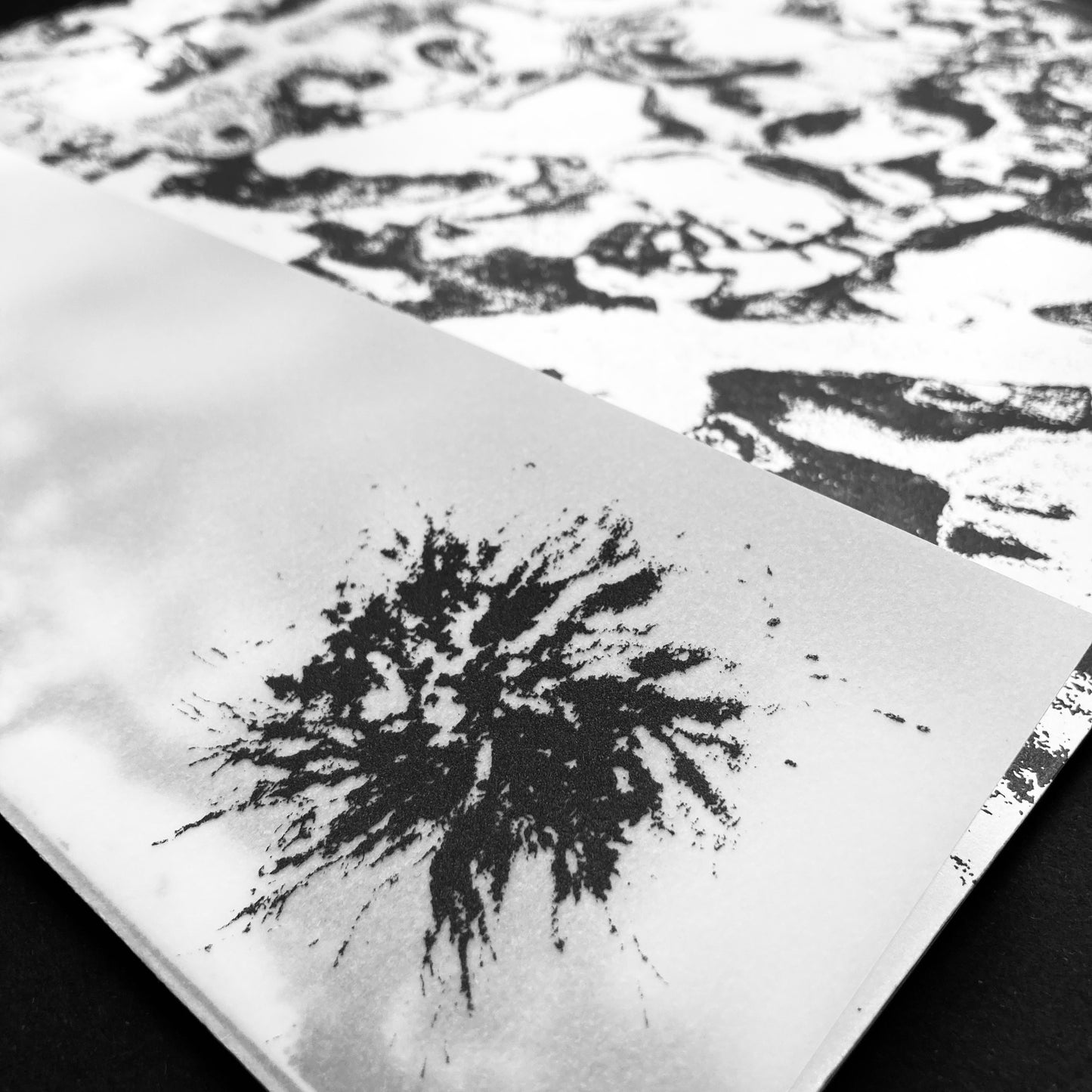 A-Sun Amissa - We Are Not Our Dread