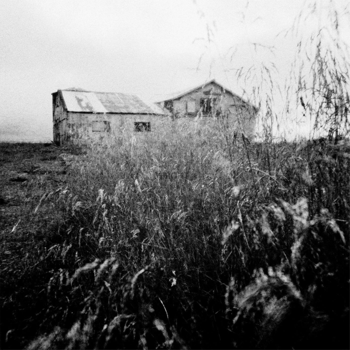 A-Sun Amissa | Gizeh Records Online Store