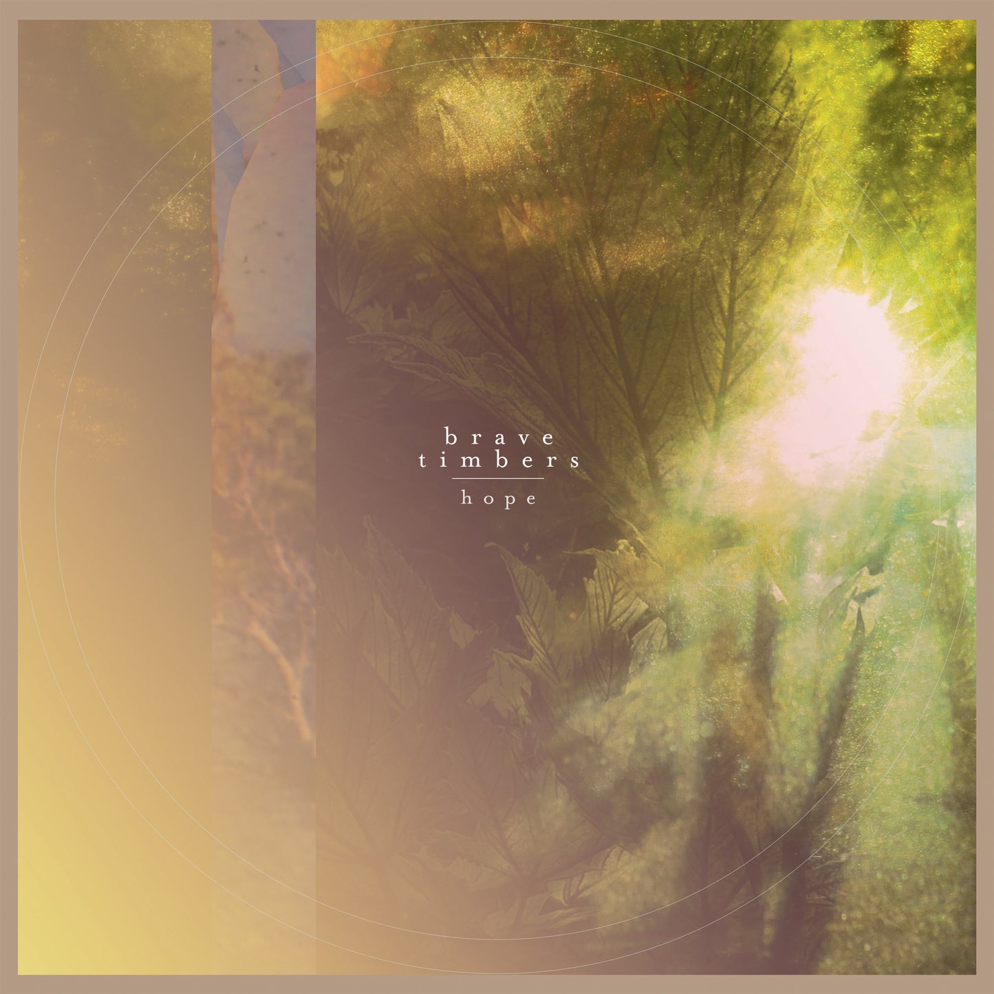 (GZH63) BRAVE TIMBERS - Hope