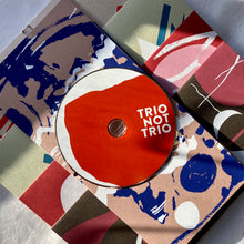 Load image into Gallery viewer, Aidan Baker - Trio Not Trio - Gizeh Records
