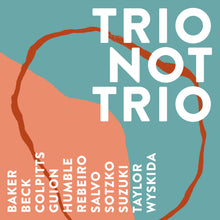 Load image into Gallery viewer, Aidan Baker - Trio Not Trio - Gizeh Records
