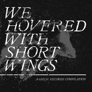 GZH100 - We Hovered With Short Wings - A Gizeh Records Compilation