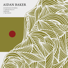 Load image into Gallery viewer, Aidan Baker - An Instance of Rising / Liminoid
