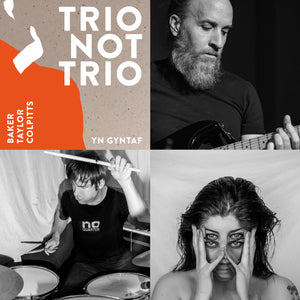 Trio Not Trio - Baker / Taylor / Colpitts - Gizeh Records